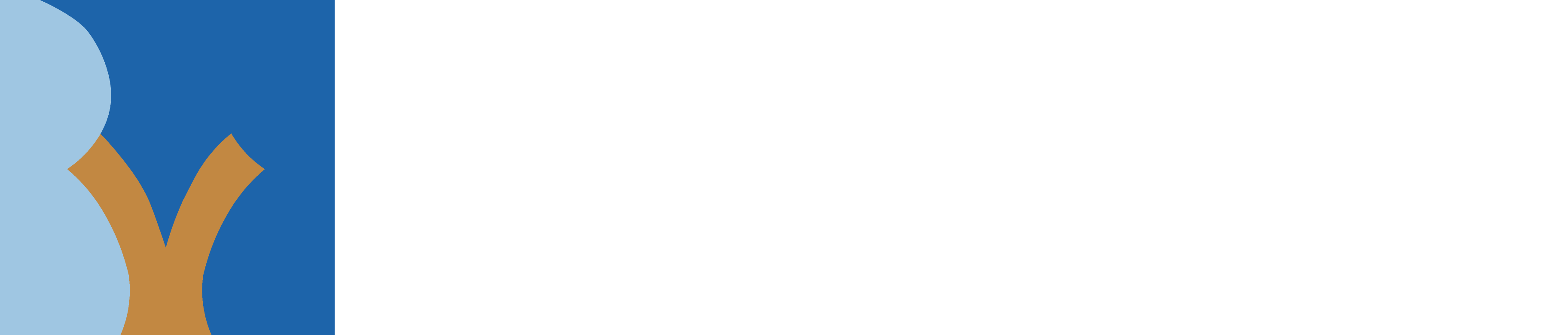 German Conference on Medical Image Computing Logo